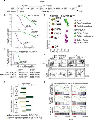 Monoallelic Heb/Tcf12 Deletion Reduces the Requirement for NOTCH1 Hyperactivation in T-Cell Acute Lymphoblastic Leukemia